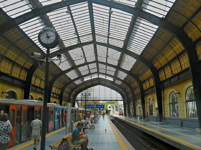 Comparatif pratique : Amtrak vs Greyhound entre grandes villes