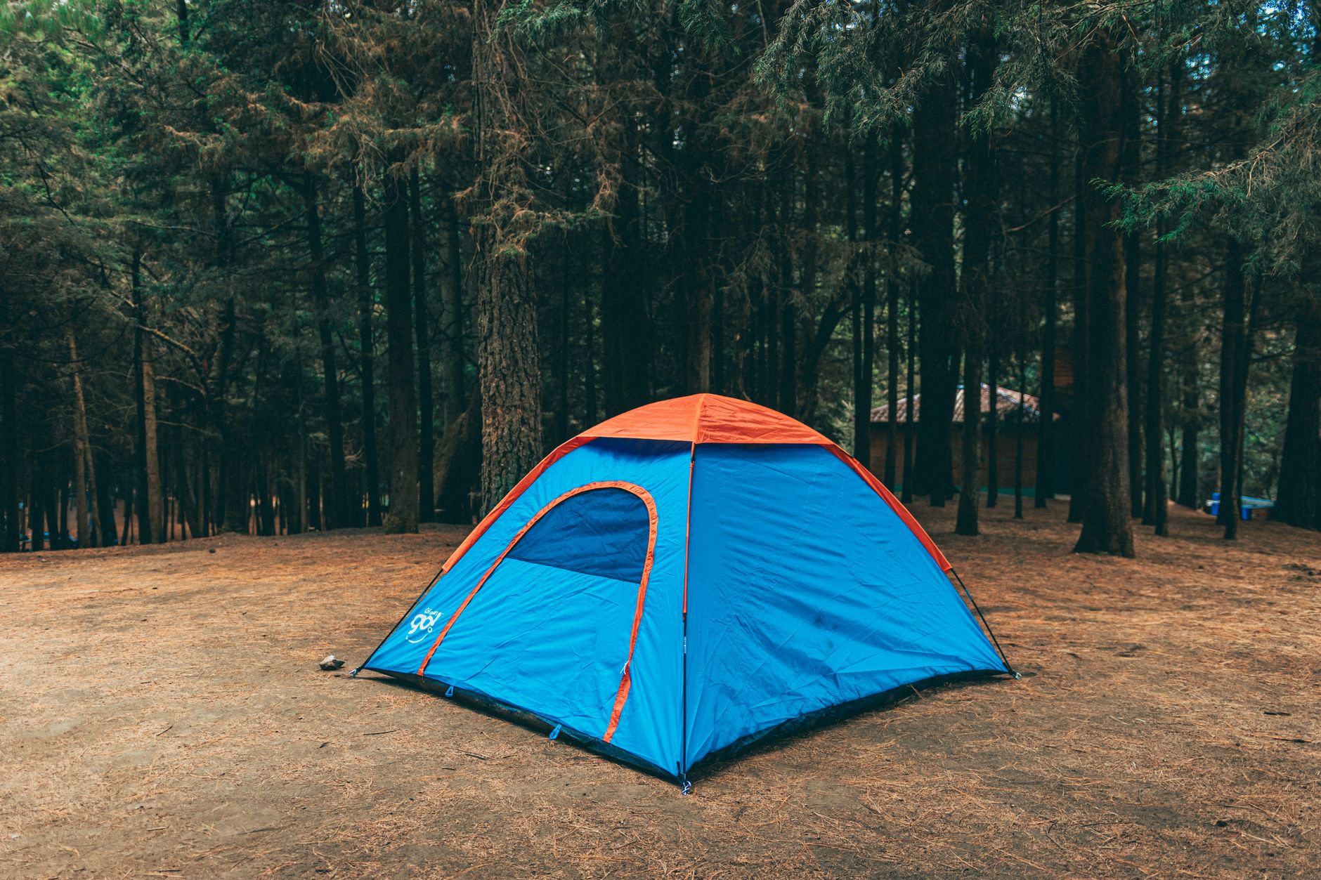 Explorez les Meilleurs Endroits pour Camper de Manière Originale aux États-Unis