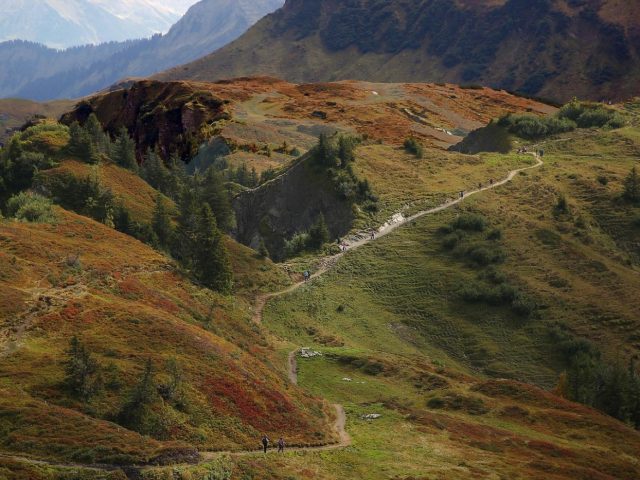 Meilleurs parcs nationaux à visiter dans l’Ouest américain