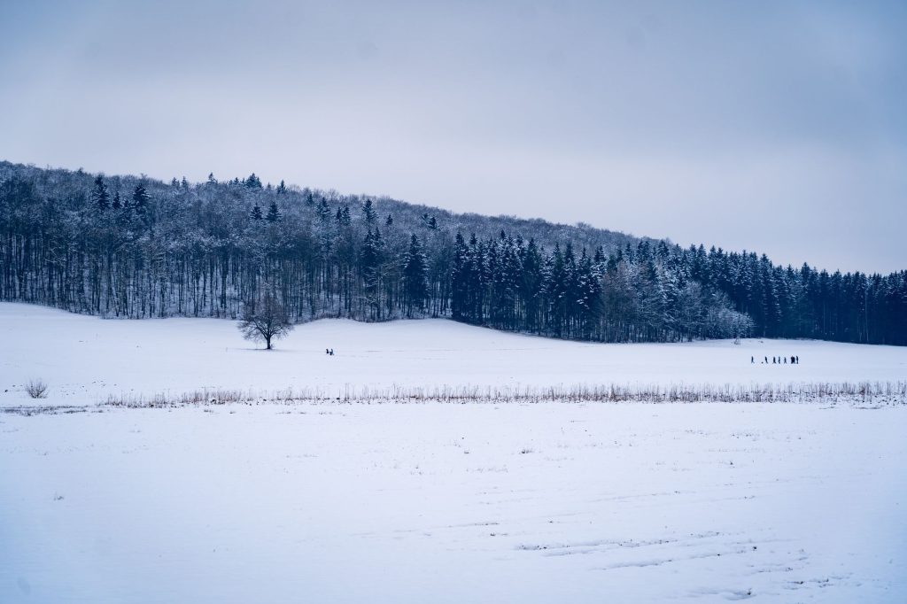 Quoi faire à Montréal cet hiver ?