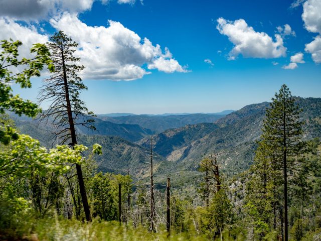Découvrez des activités insolites en Californie