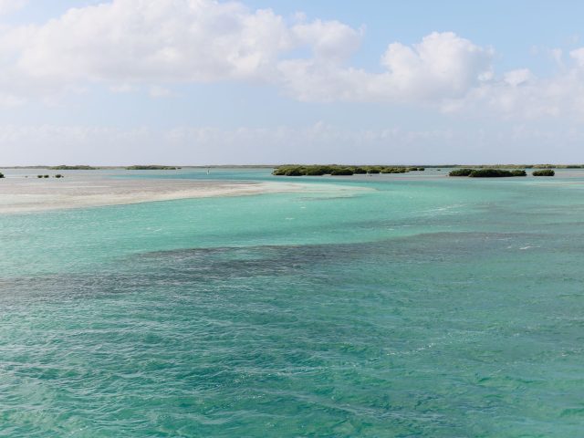 Pourquoi la nouvelle liaison vers les Caraïbes change tout pour vos vacances