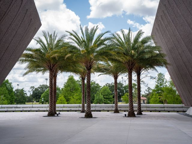 Vol direct vers Orlando : votre voyage en Floride simplifié