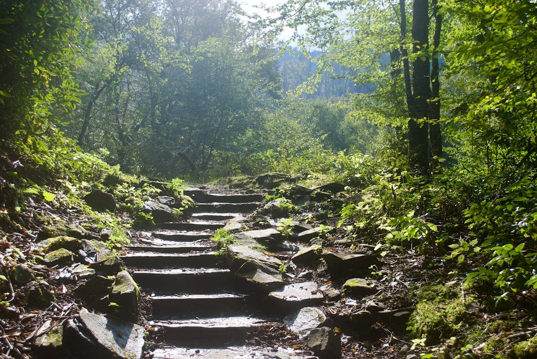 Étapes faciles de l'Appalachian Trail pour débutants