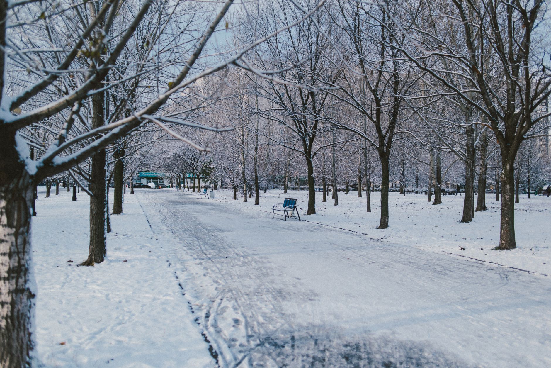 Quoi faire à Montréal cet hiver ?