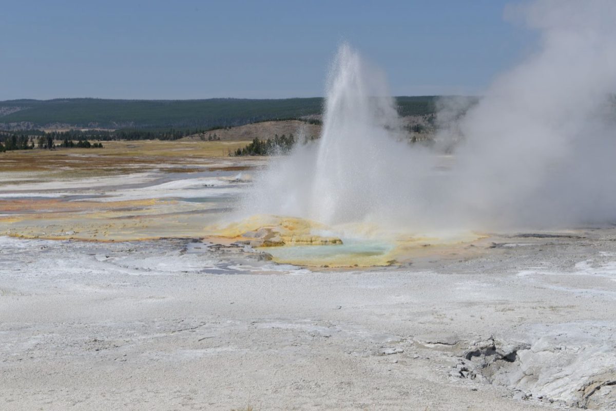 Yellowstone ou Grand Teton : quel parc choisir ?